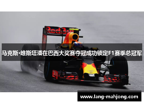 马克斯·维斯塔潘在巴西大奖赛夺冠成功锁定F1赛季总冠军